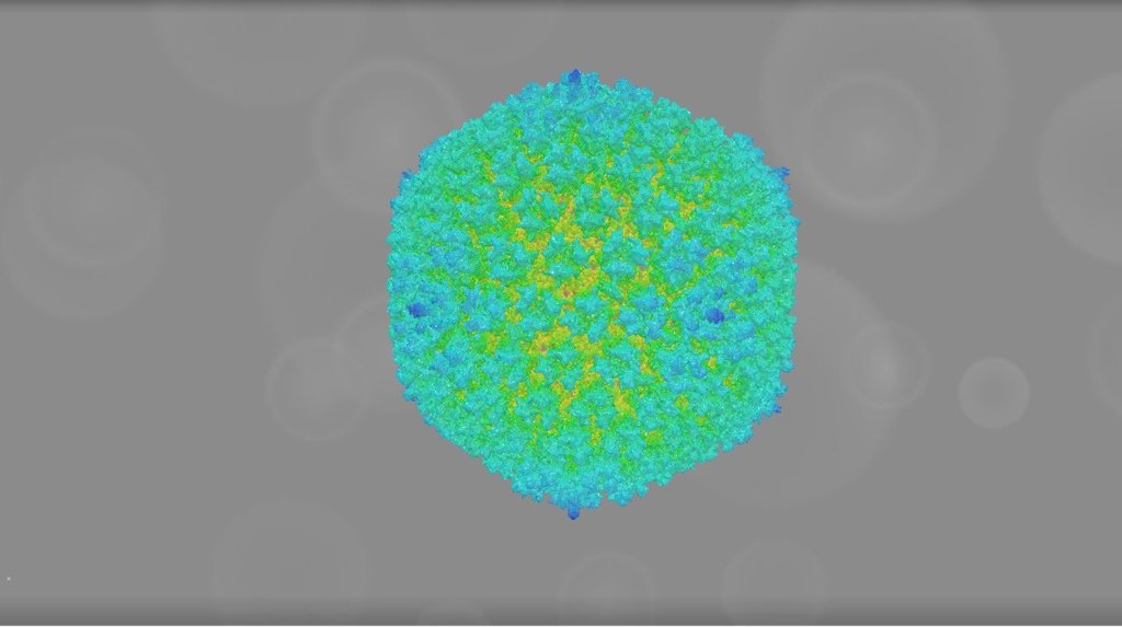 Human Adenovirus Serotype 5: EMD-5172 - 3D model by Interactive 3D Data ...