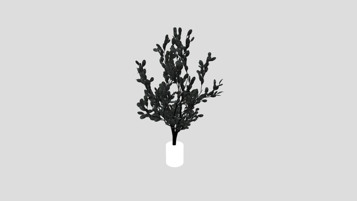 Indoor Plant Variation – Modelo 3D gratuito STL