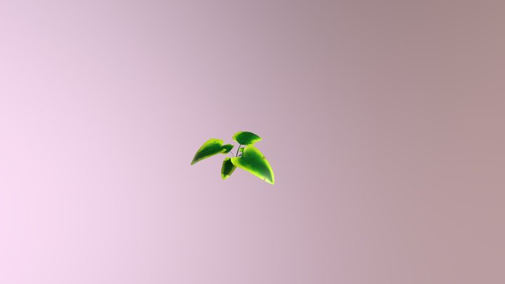 Plant 3D Model