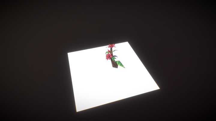 shocase4 3D Model