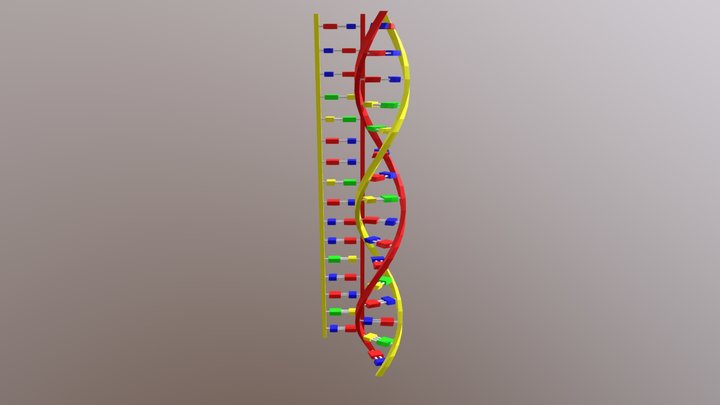 DNA Sequence Copy 3D Model