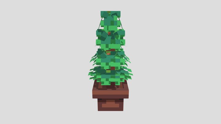 Pine Tree in a Pot