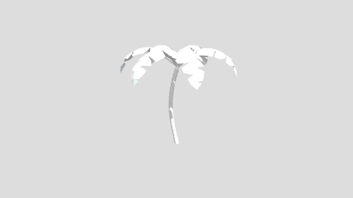 Plam Tree 3D Model