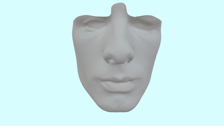 SPIDER SIMPLE MESHMIX 3 Matic Reduce 3D Model