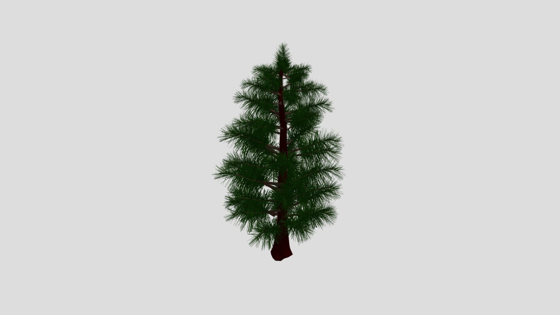 Fibers1 Pine tris TREE 1