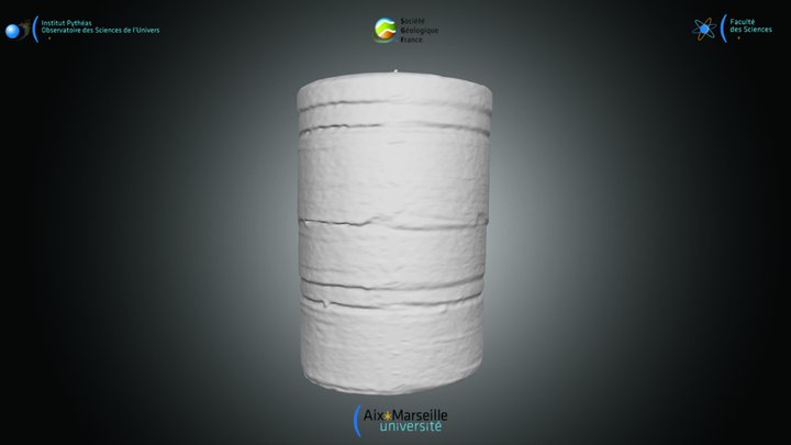 Diatomée - Colonie de E. arenaria – Kostenloses 3D-Modell STL