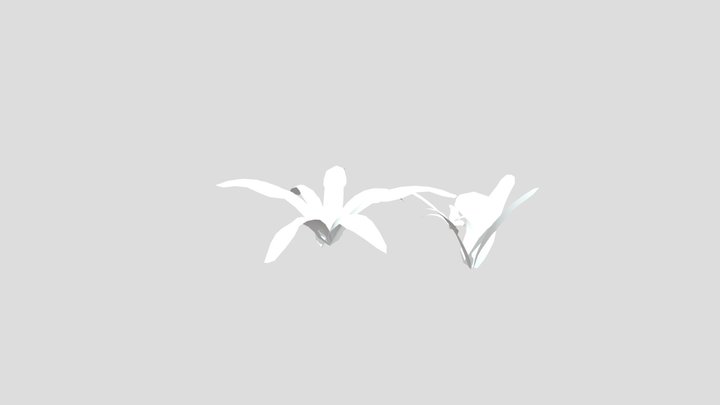 Plants 3D Model