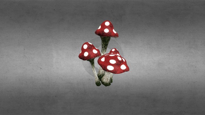 Mushrooms1_Teste Bru 3D Model