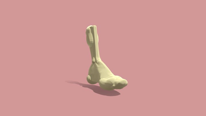 new_foot 3D Model