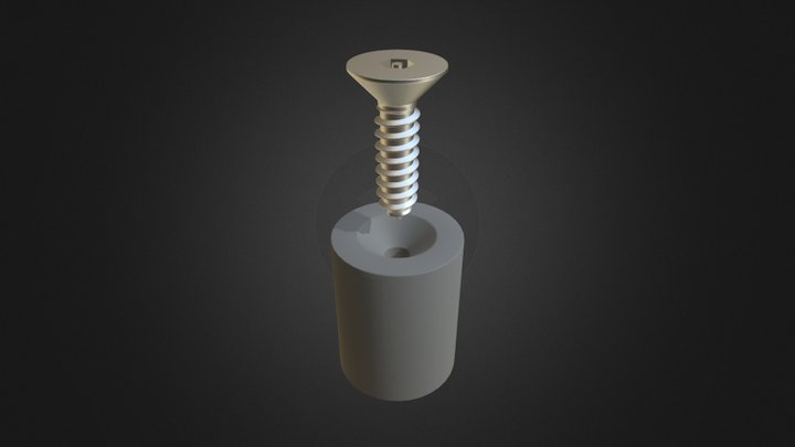 Security - Pin Hex ST Csk 3D Model