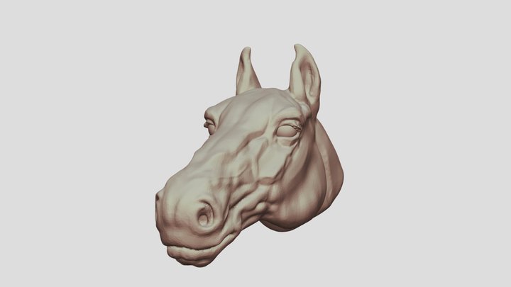 Horse 3D Model