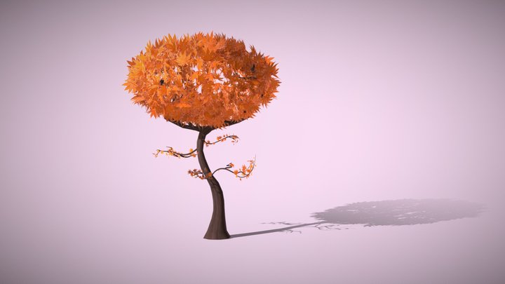 First Tree 3D Model