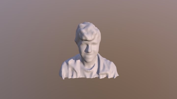 my head 3D Model