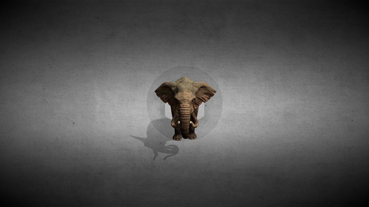 Elephant Anim 3D Model