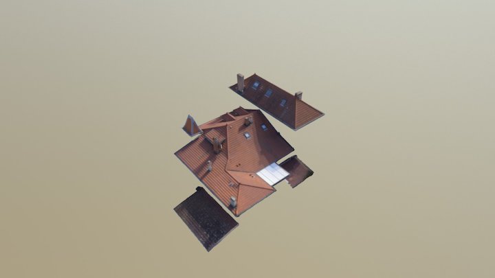 Relevé Toiture 3D Model