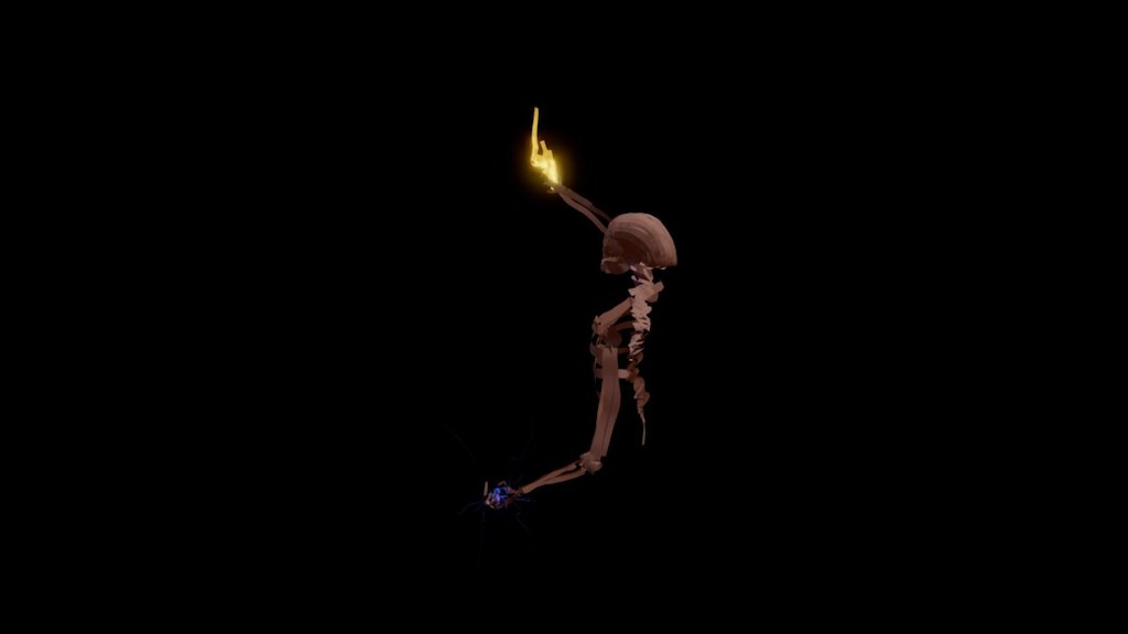 Skeleton