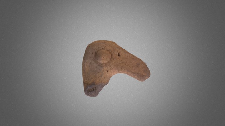 Bird Head Adorno (10.28.57.2) 3D Model