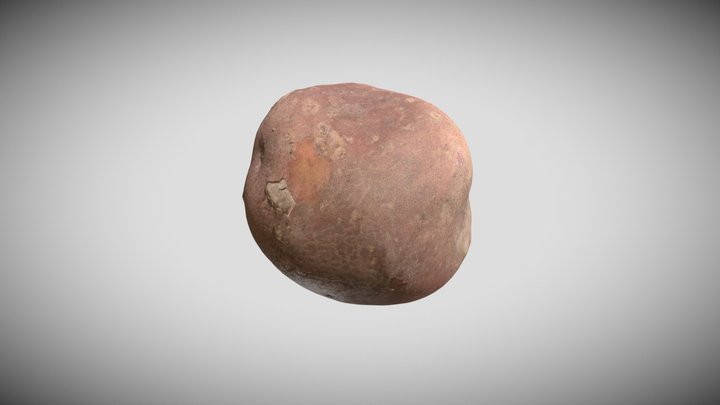 Potato 3D Model