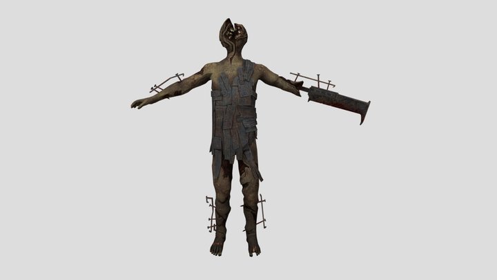 patient number 6 3D Model