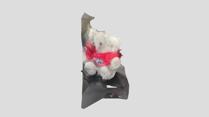 Co 3D Model