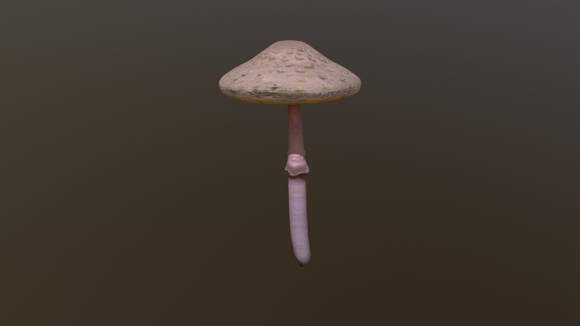 Mushroom Download Free 3d Model By Asia Matusik Asiam [767a395