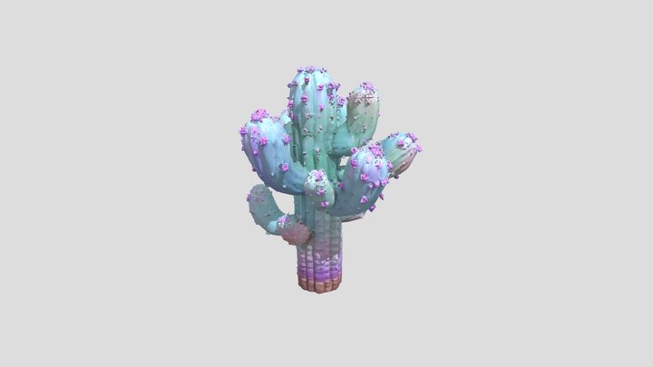 Pastel Mirage 3D Model