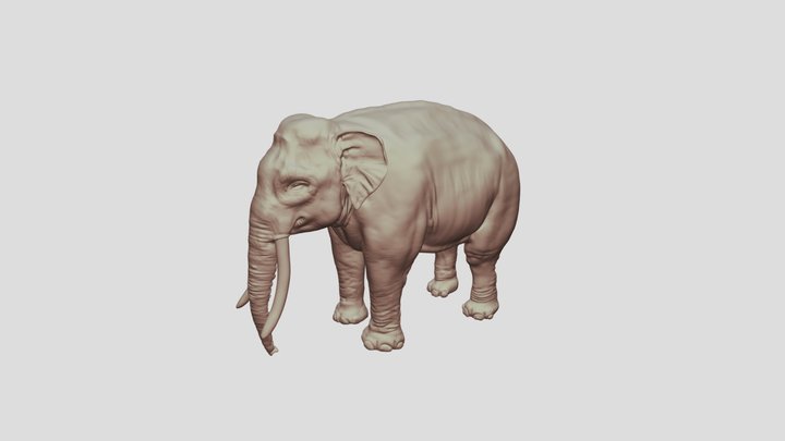 Elephant 3D Model