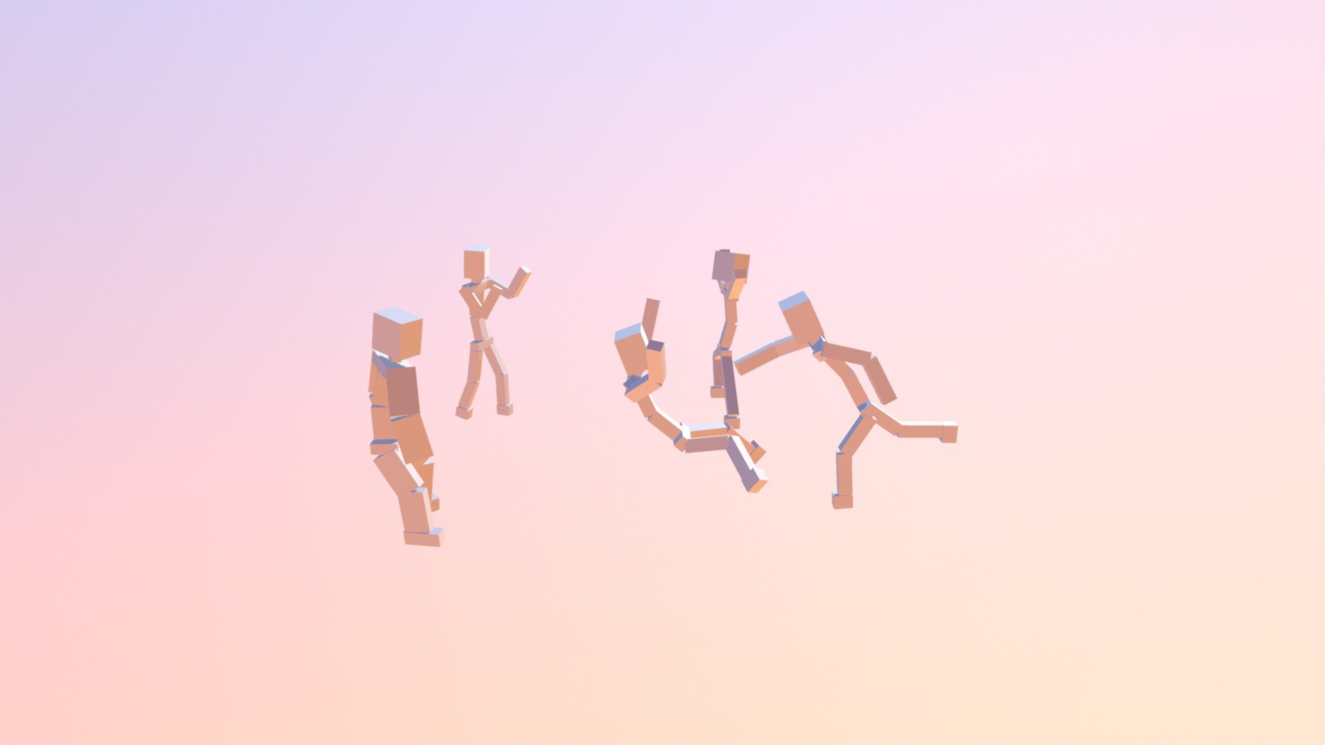Fighting Sport