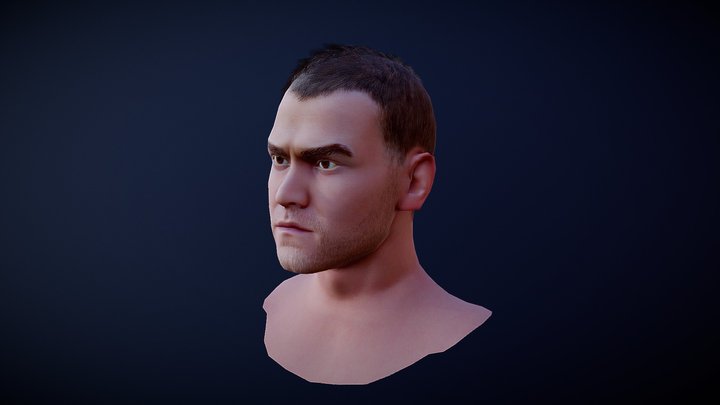 Akin Head Hairs2 3D Model