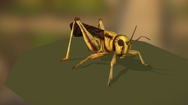 Locust 3D Model