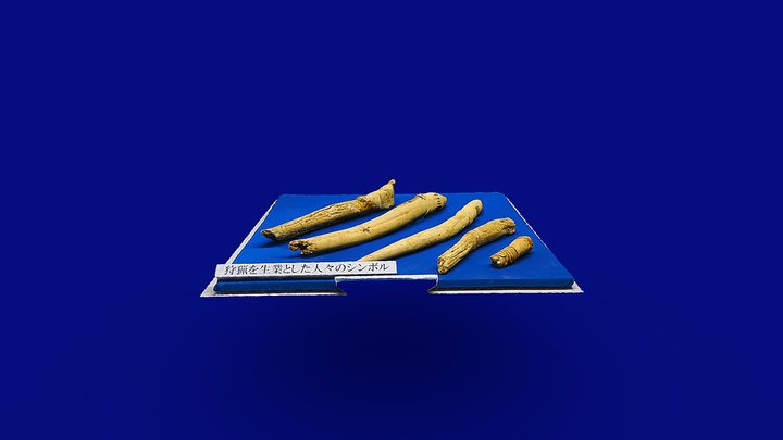 鹿角製儀仗5点（成田市荒海貝塚）観察記録3Dモデル – Free 3D Model STL