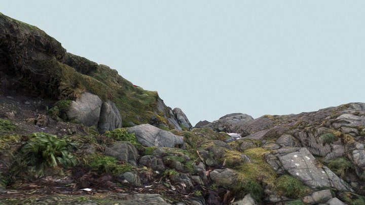 Shore rocks 3D Model