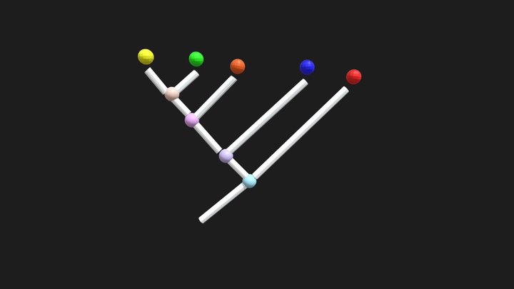 Cladogram / Phylogenetic Tree (animated) 3D Model