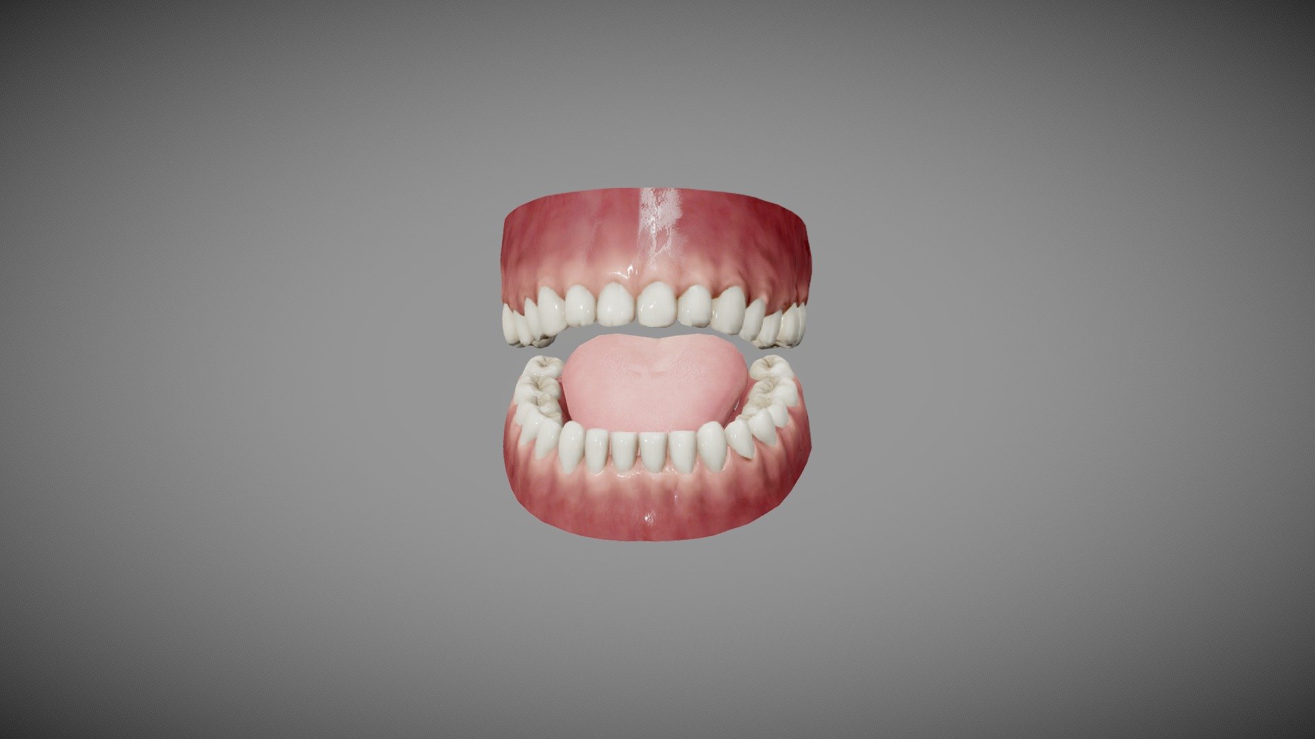 Human Teeth