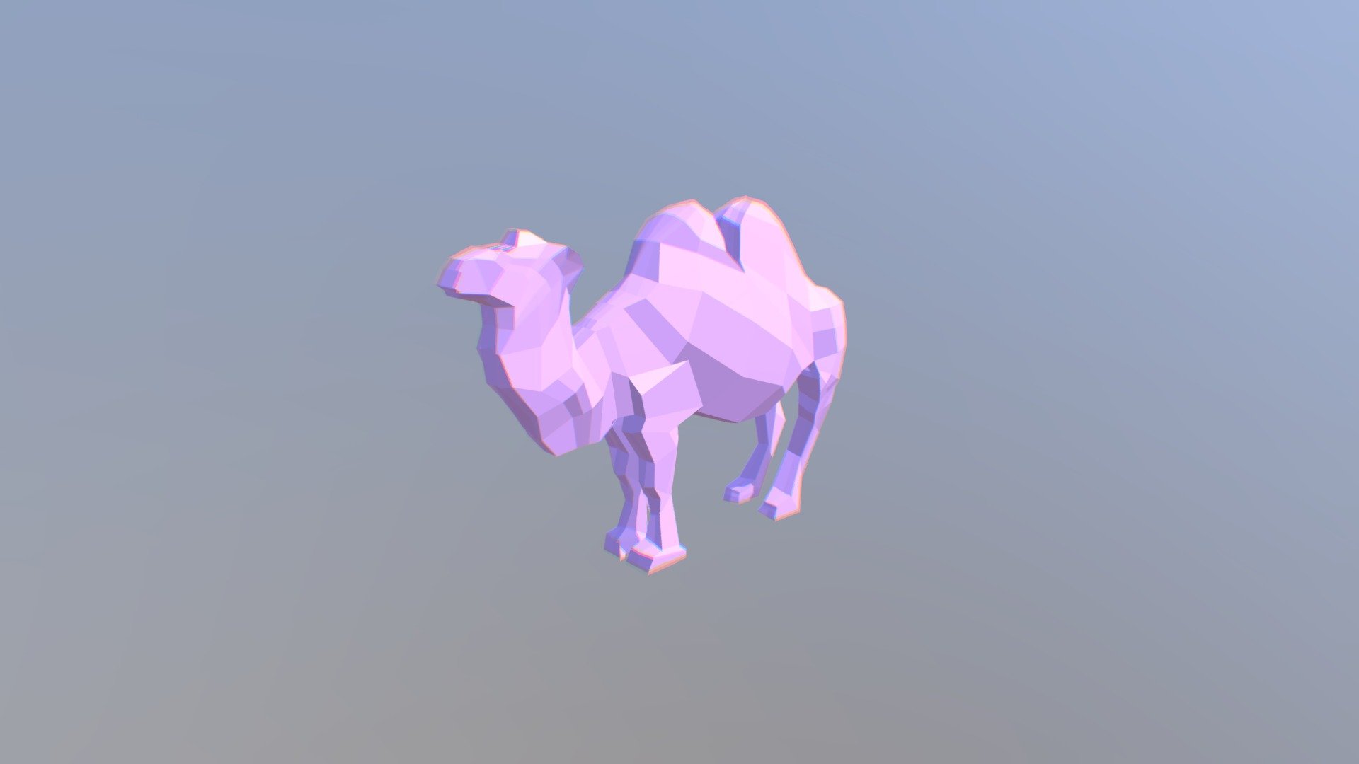 верблюд/camel