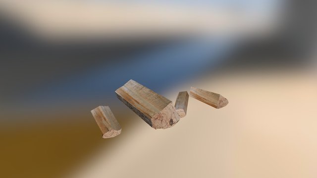 Firewoods 3D Model