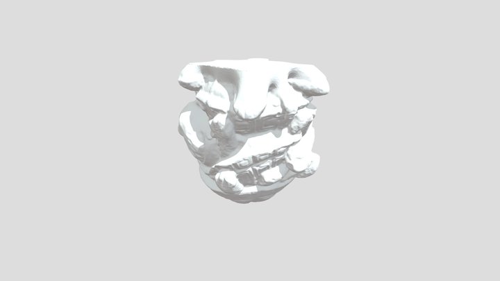 Scan Shinning 3D 3D Model