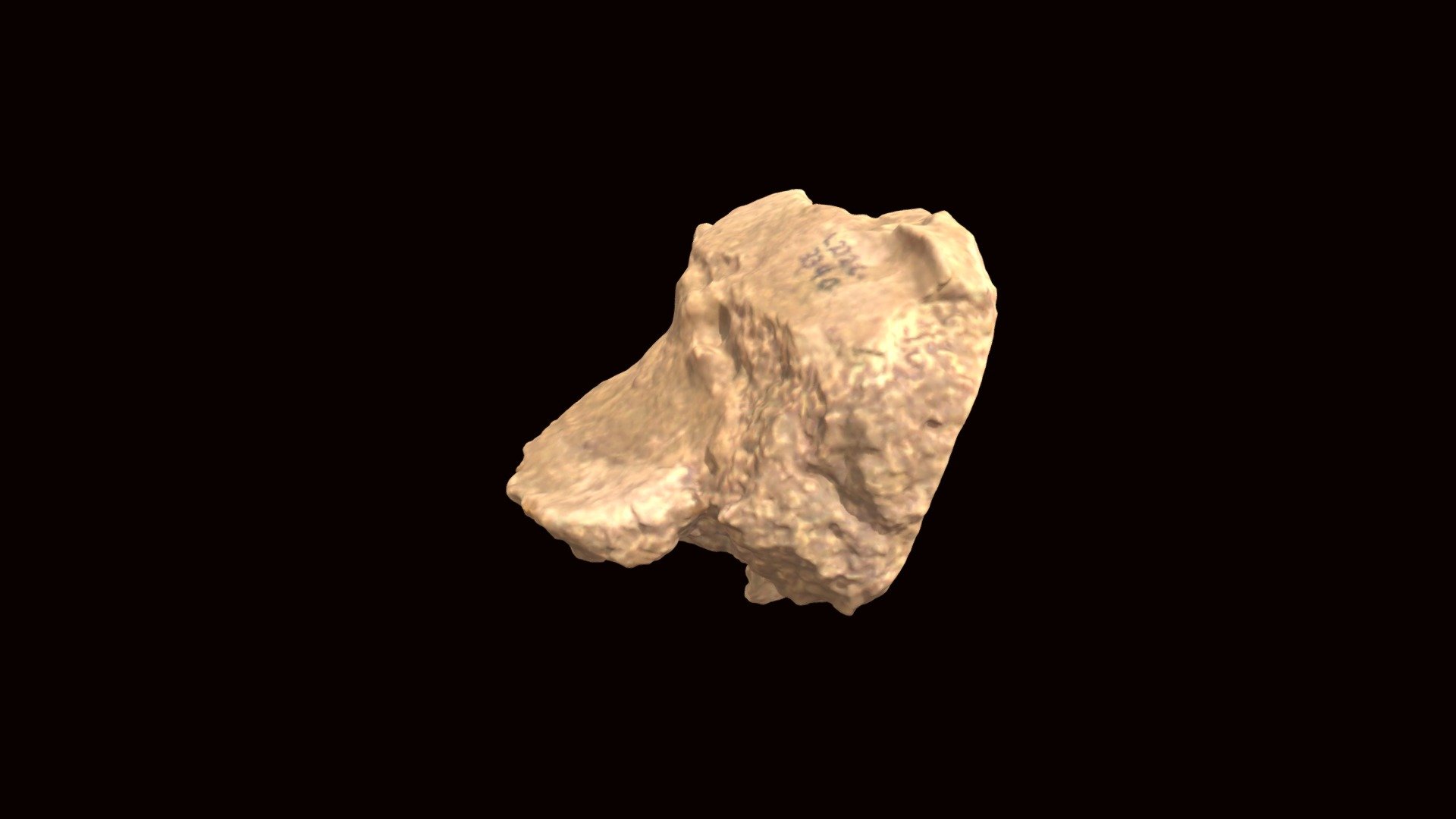Paramylodon tibia fragment (VCU_3D_7959) - Download Free 3D model by ...