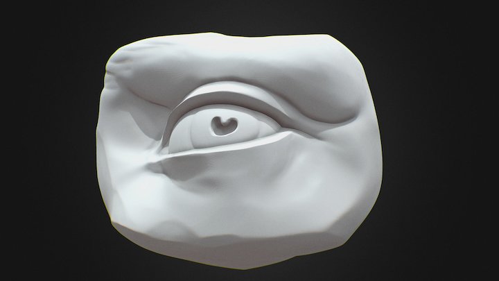David's eye sculpt 3D Model