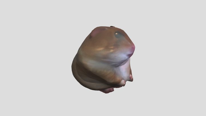 Fat hamster 3D Model