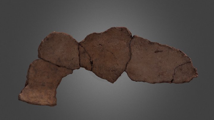 Фрагмент сосуда №91(1) 3D Model