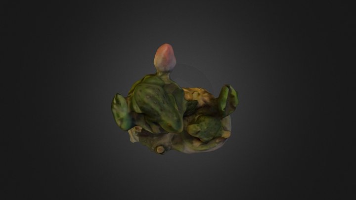 frog 3D Model