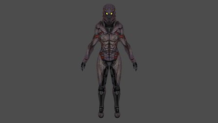 Female Shepard (Collector Armor) 3D Model