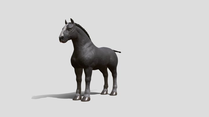 Shire Horse 3D Model