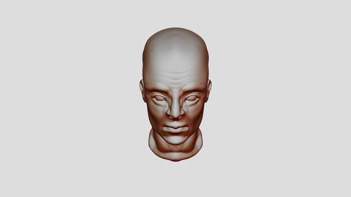 head sculpt 1 3D Model
