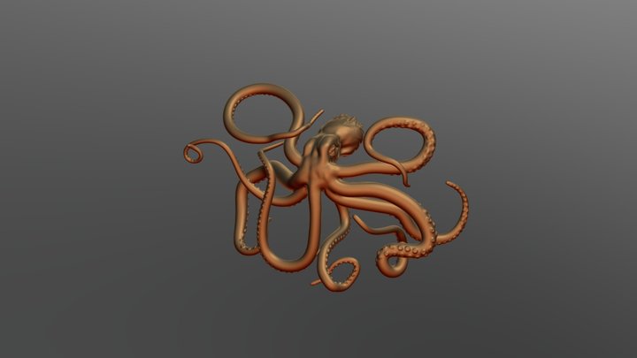 octopus 3D Model