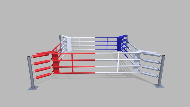 Floor training ring Fighter 3D Model