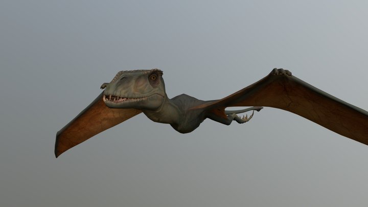 Dimorphodon – Free 3D Model STL