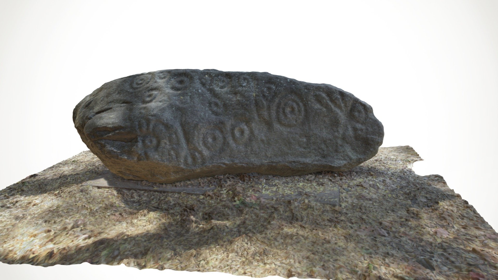 UGA Petroglyph Boulder