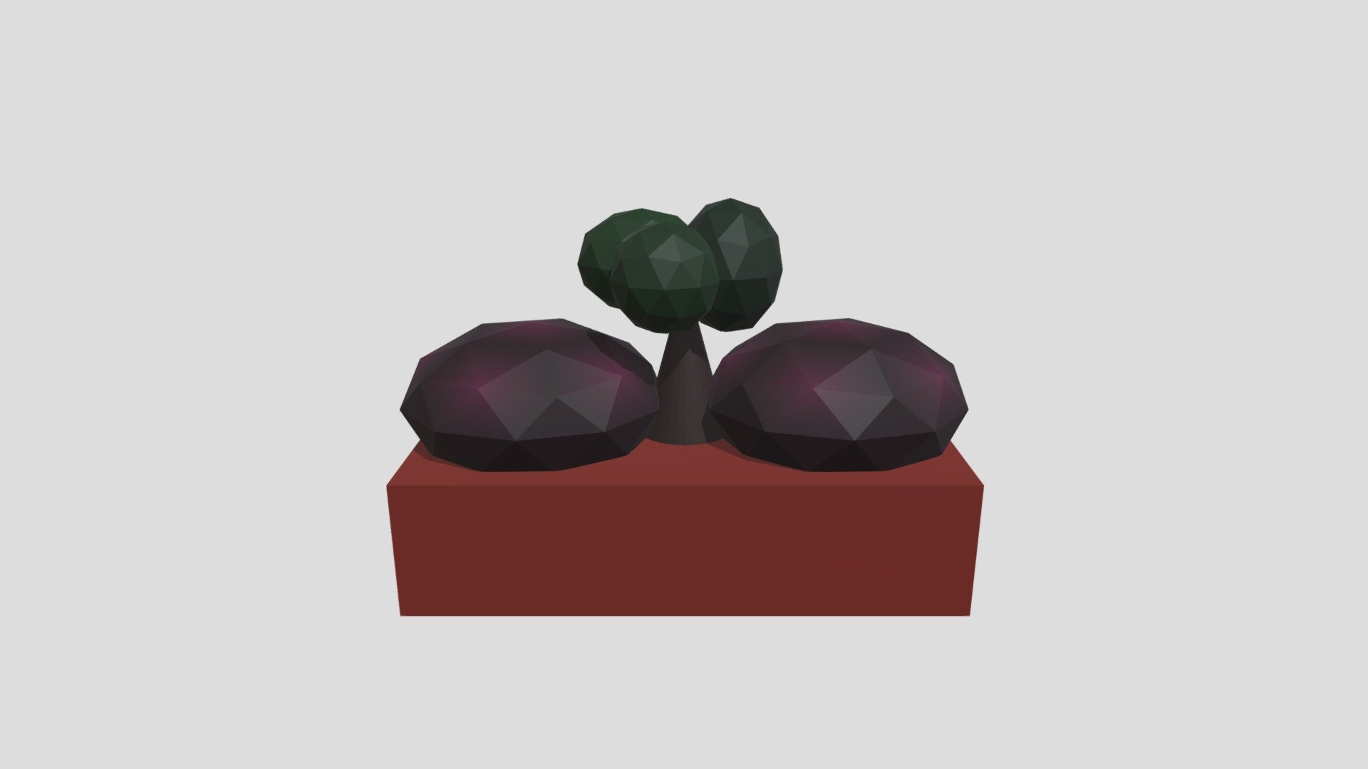 Plantbox1 4